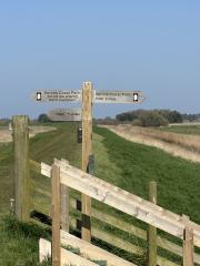 No way to bail out for 9 miles once you've left RSPB Snettisham!
